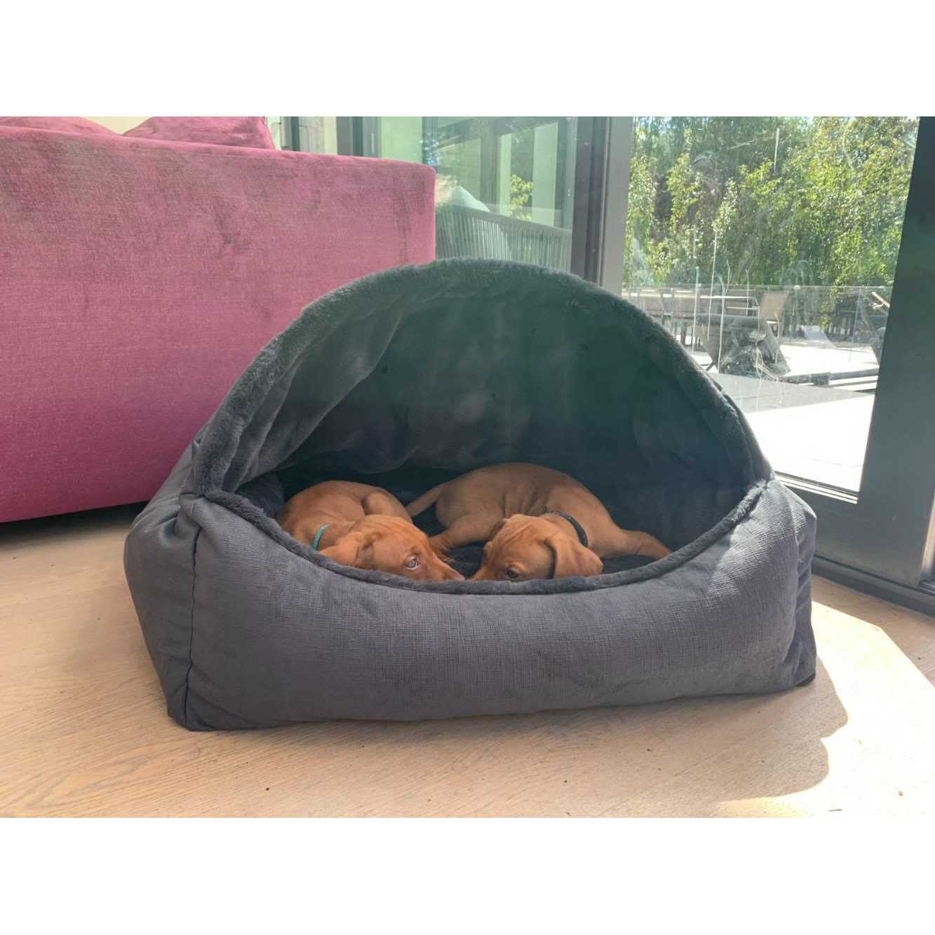 Canopy Dog Bed J6213