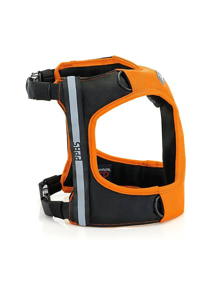 Large Black Dog Car Harness R17139