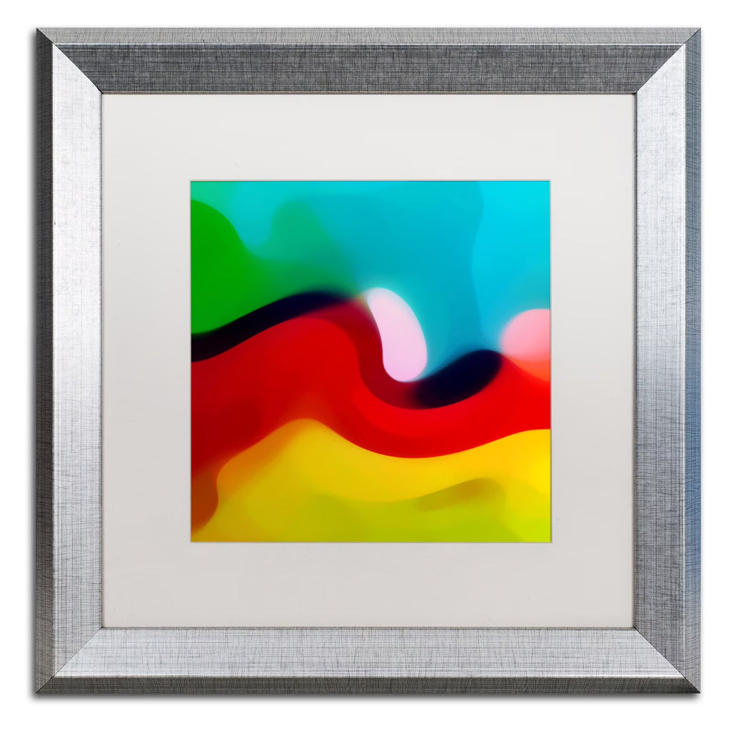 Silver Frame Canvas Art O266