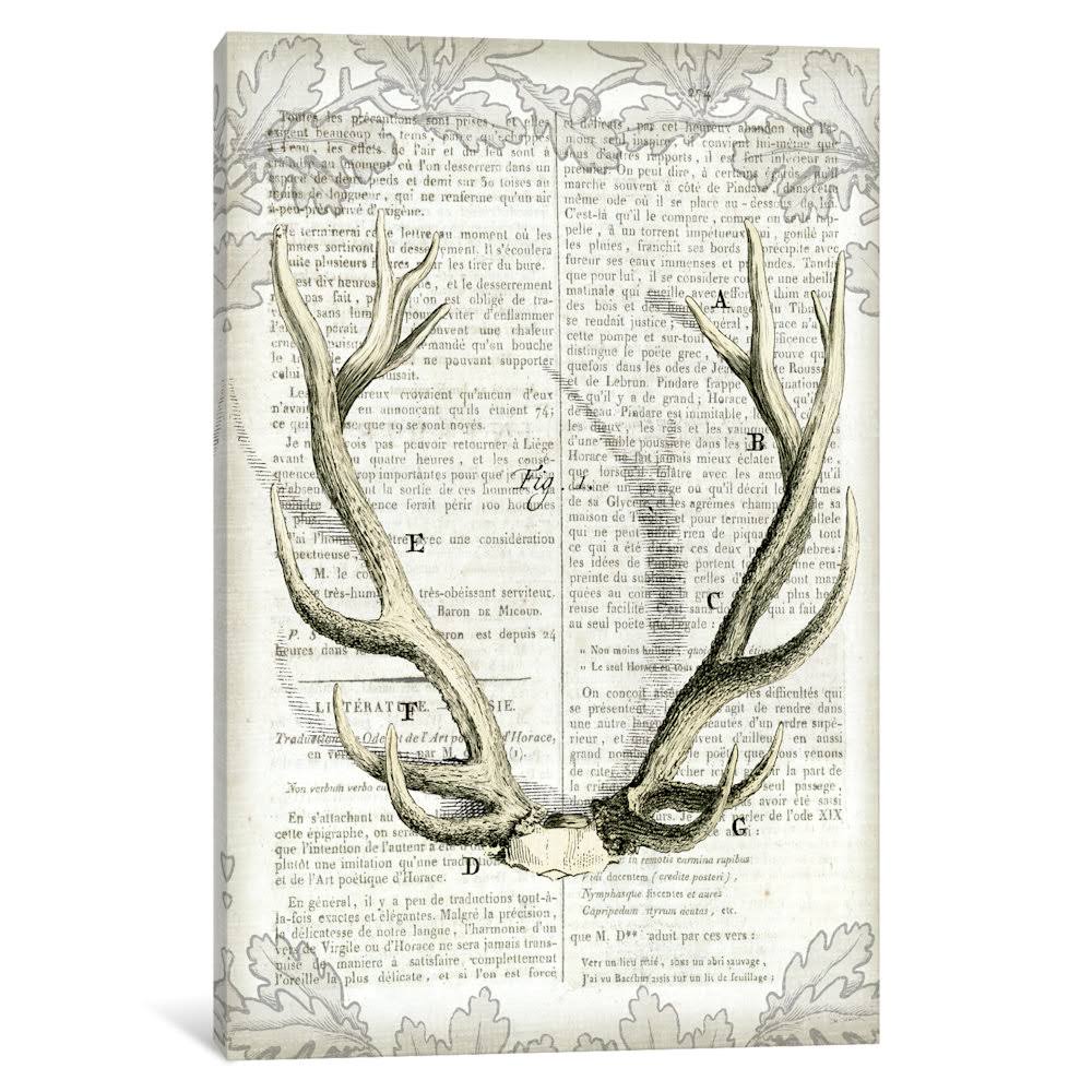 Regal Antlers on Newsprint I V968