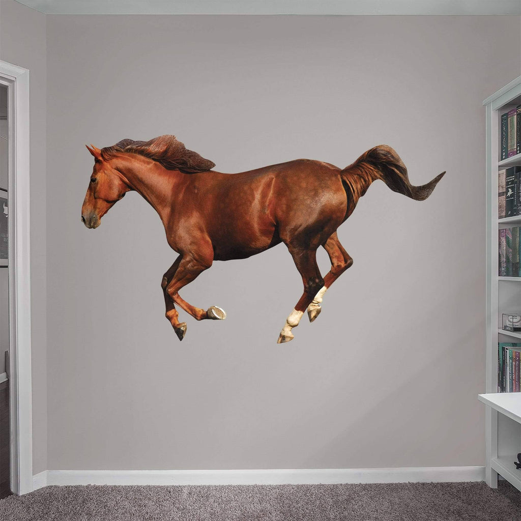 X-Large Removable Wall Decal D223
