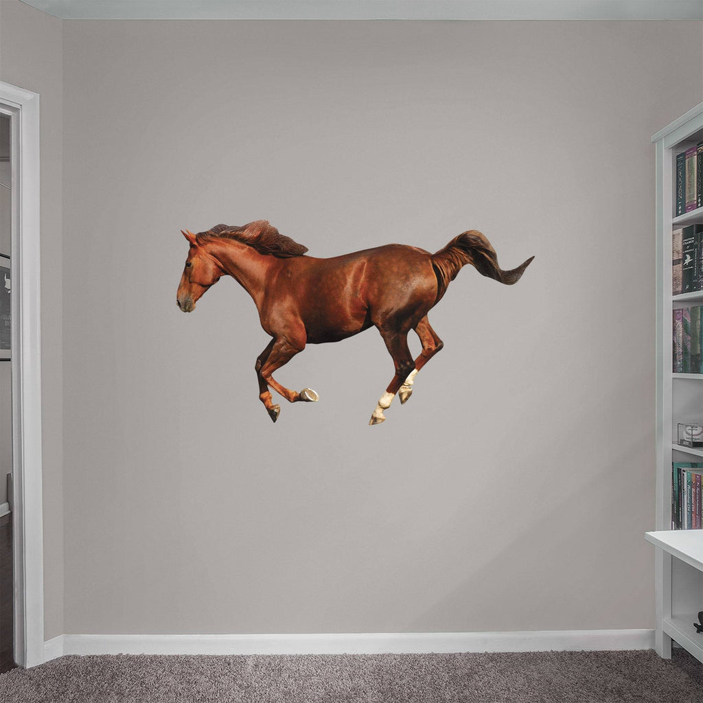X-Large Removable Wall Decal D223