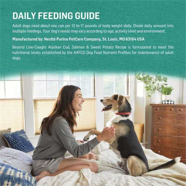 Grain-Free Canned Dog Food Q12914