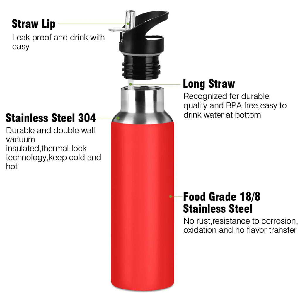 Red Stainless Steel Water Bottle with Straw Lid 20 OZ V4284