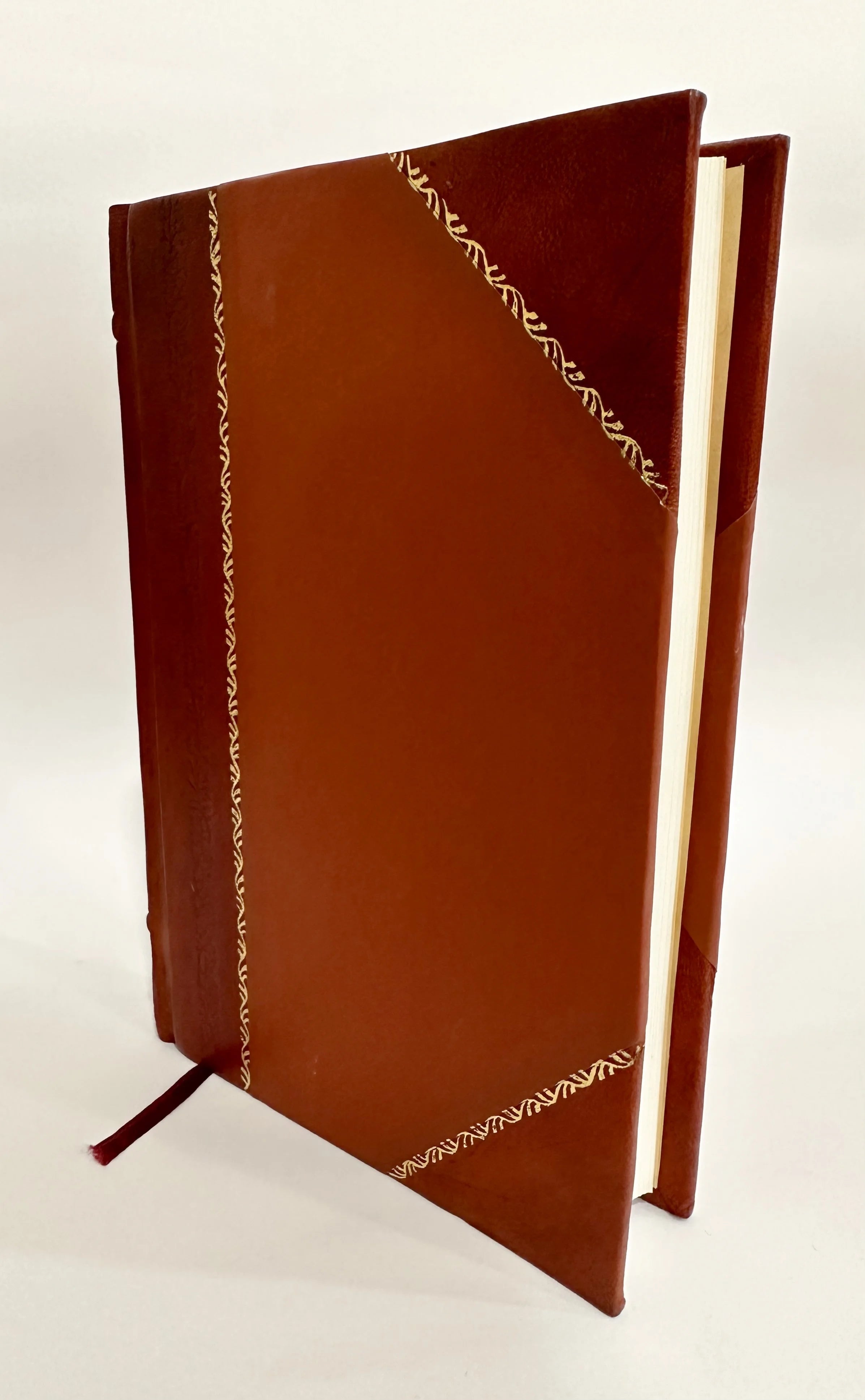 Rejected of Men; a Story of To-Day [Leather Bound] I4138