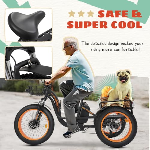 Electric Tricycle, Fat Tire 750W 48V 22.4AH Removable Battery, 7 Speeds 3 Wheel Electric Trike with Basket F6590