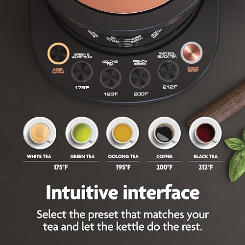Electric Kettle with Tea Infuser, Temperature Control, 1.5 Liters, Midnight Blue J2841