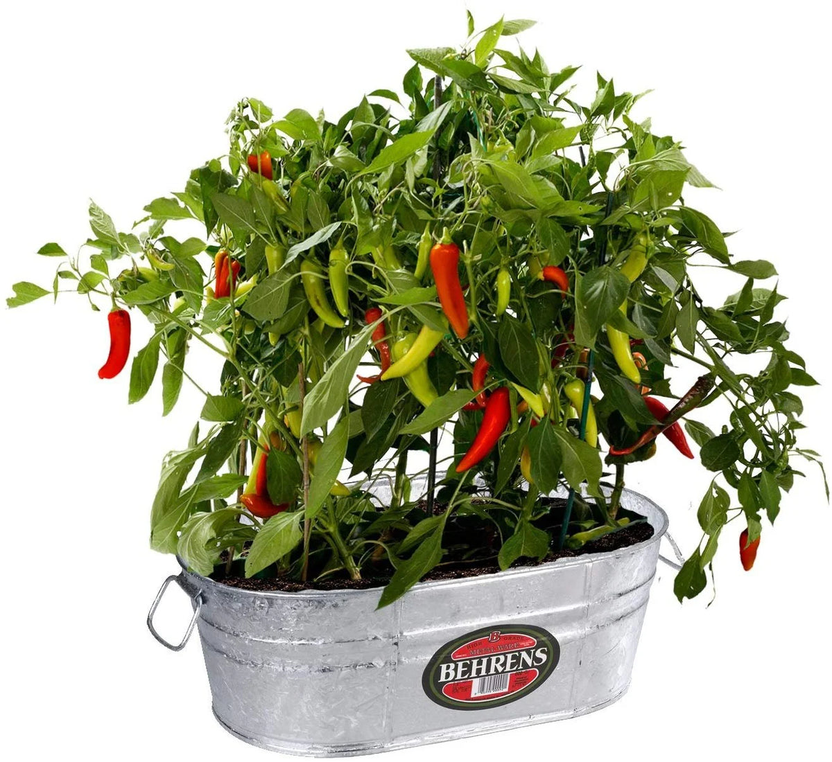Oval Steel Tub O70249