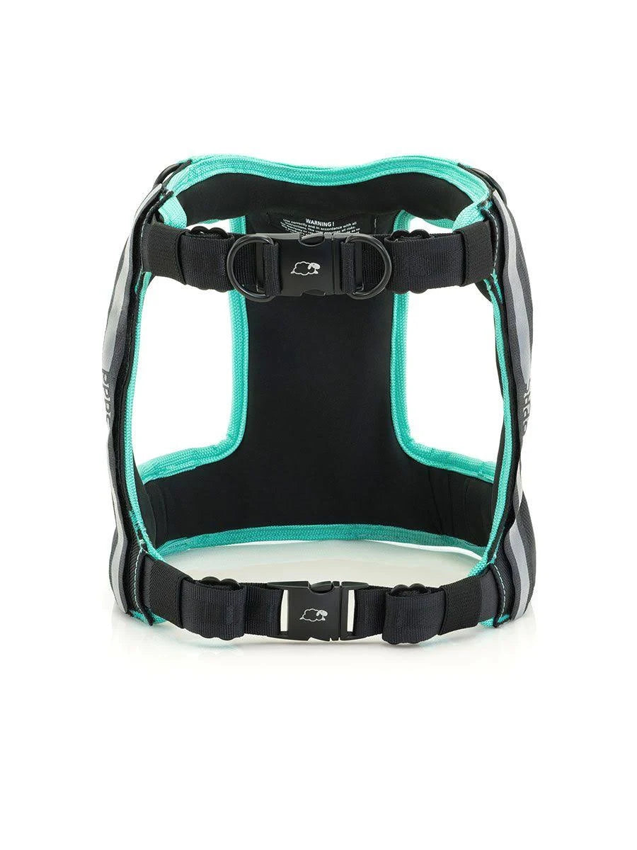 Large Black Dog Car Harness R17139