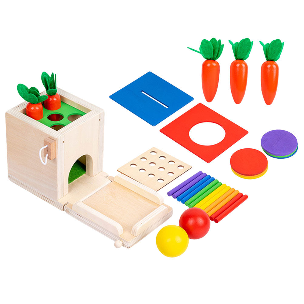 Montessori Toy Matching Toy Z4459