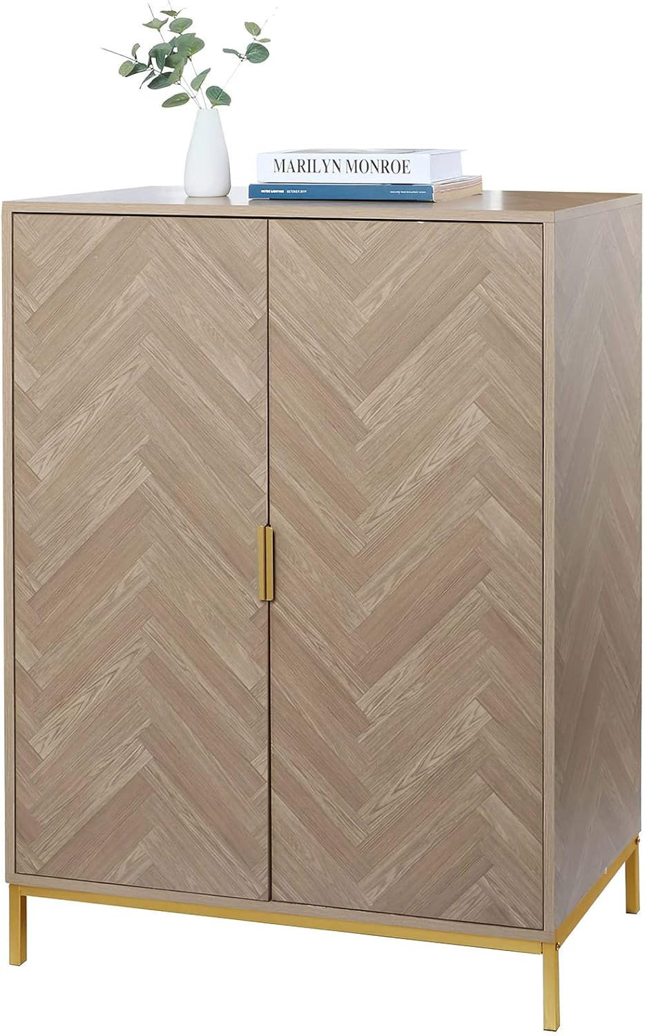 2 Door Storage Cabinet with Golden Legs Black X3783