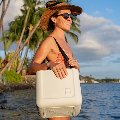 Portable Soft Cooler Bag T2559