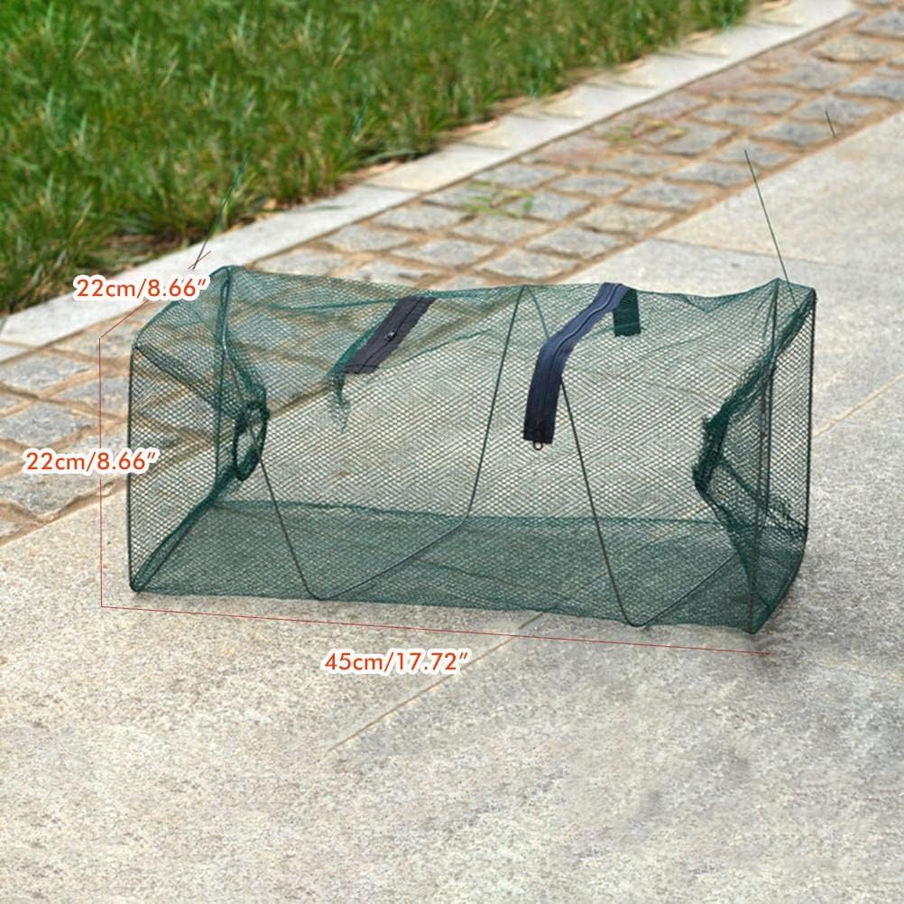 Green Collapsible Fishing Trap Net S19801