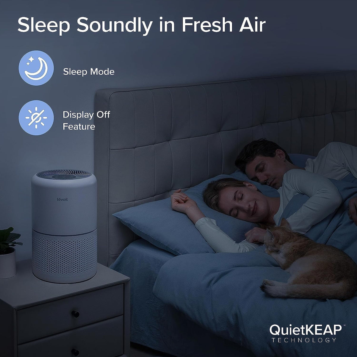 Levoit Air Purifier 300-RAC Y96297