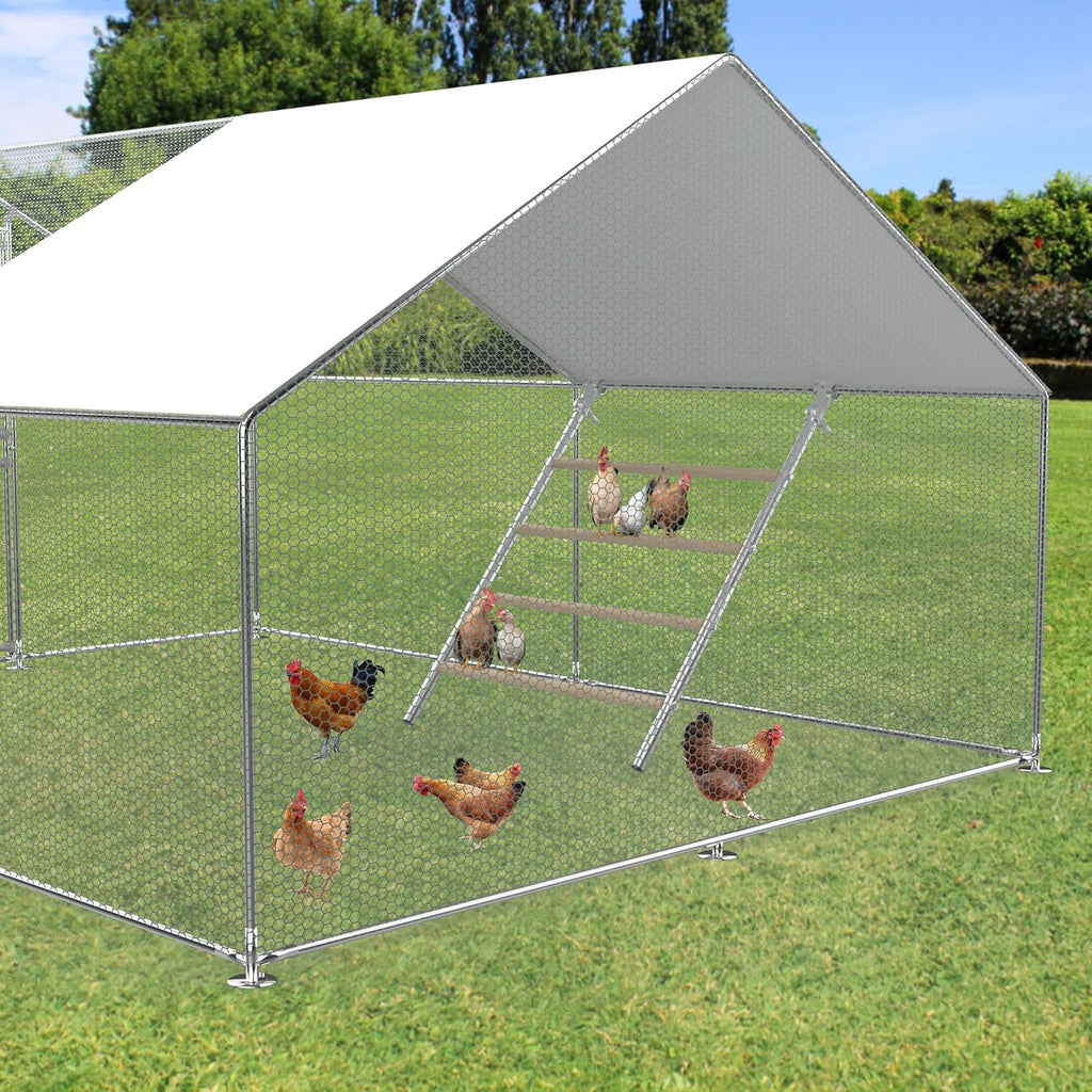 Large Metal Chicken Perch Ladder (55.9''L X 41.7'' W) L570544