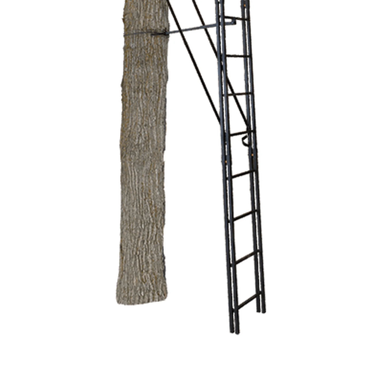 Black 20 Foot 1 Person Ladder Tree Stand X3598