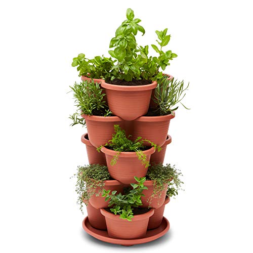 5 Tier Stackable Planter with Starter Pots F23425