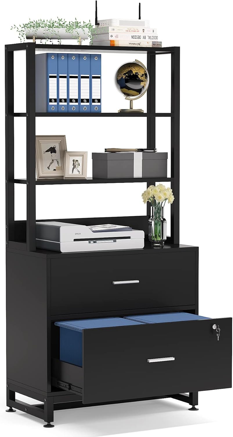 2 Drawer Lateral File Cabinet with Lock, Black F1148