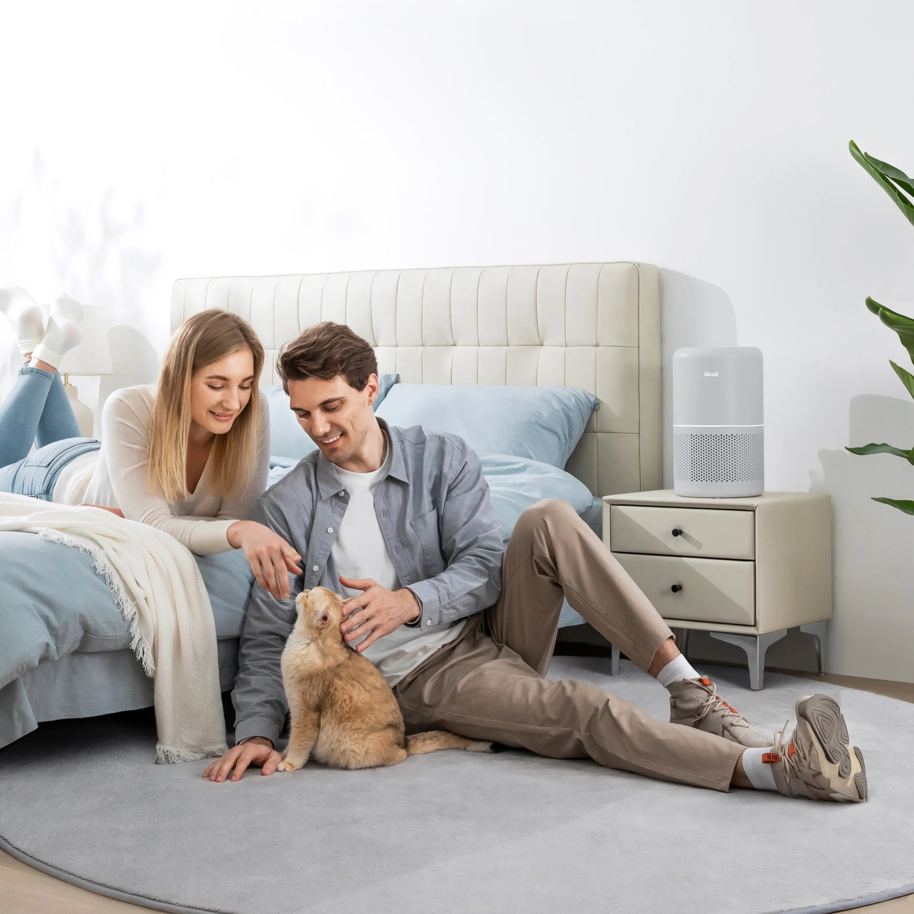 Levoit Air Purifier 300-RAC Y96297