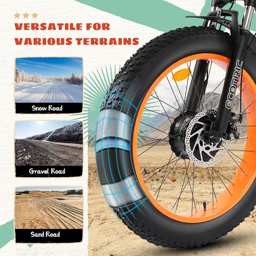 Electric Tricycle, Fat Tire 750W 48V 22.4AH Removable Battery, 7 Speeds 3 Wheel Electric Trike with Basket F6590