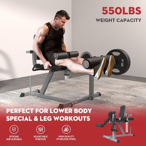 Adjustable Leg Extension and Curl Machine Y507