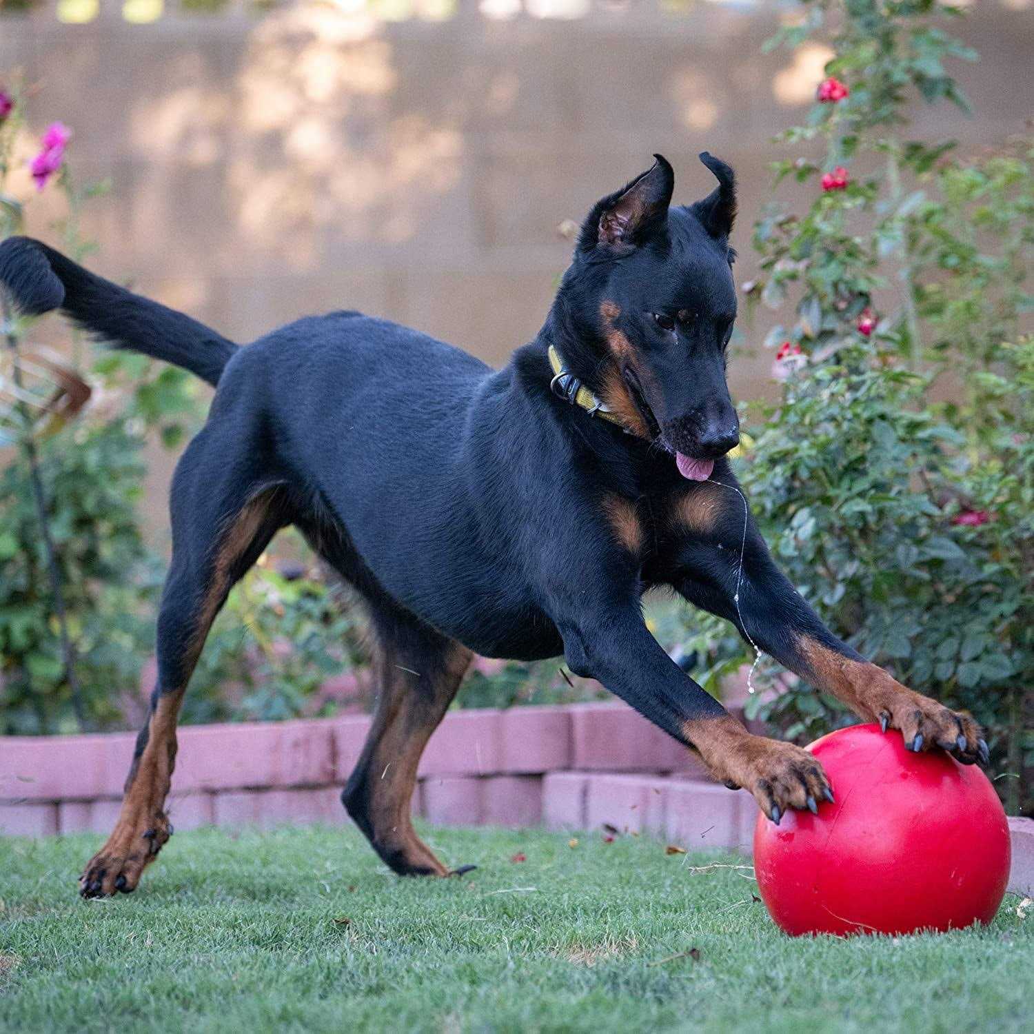 Virtually Indestructible Ball R775081