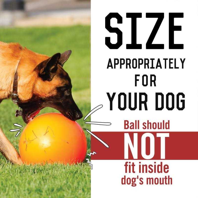 Virtually Indestructible Ball R775081