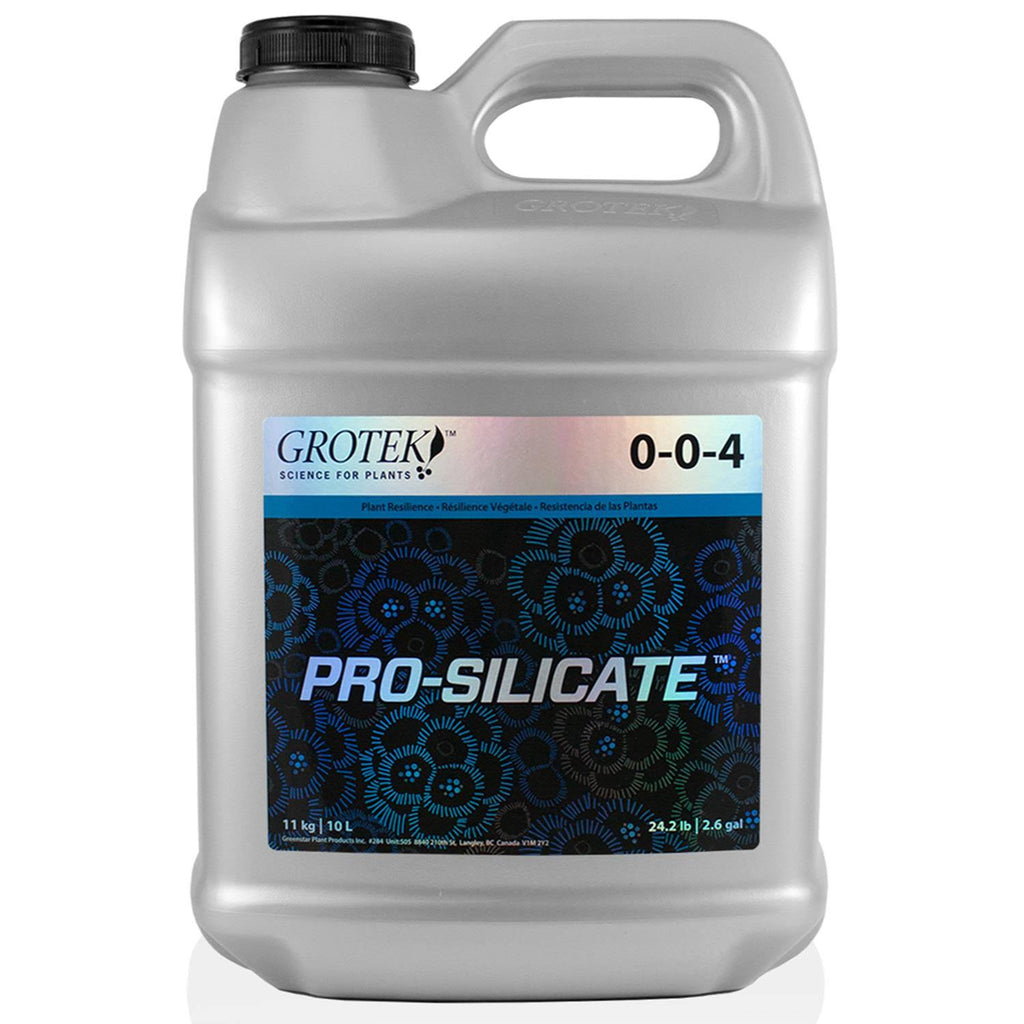 Pro Silicate 10 Liter Z7972