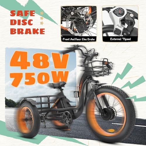 Electric Tricycle, Fat Tire 750W 48V 22.4AH Removable Battery, 7 Speeds 3 Wheel Electric Trike with Basket F6590