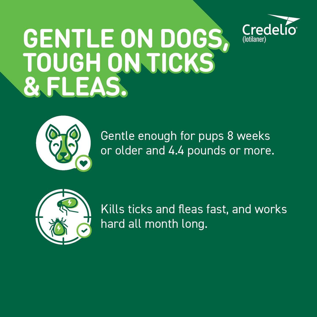 Chewable Tablet for Dogs 25.1-50 lbs Q103220