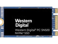 256GB M.2 2242 PCIe Internal Solid State Drive G252957