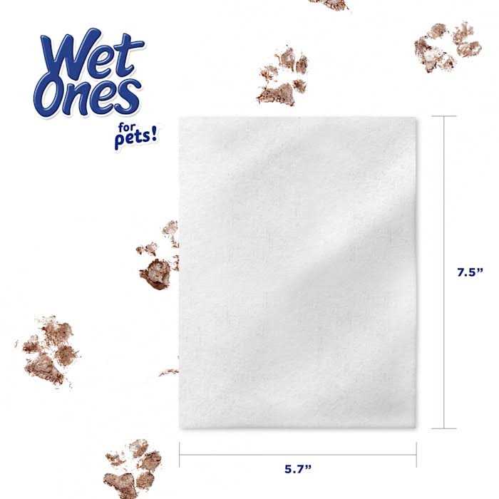 Wet Ones Wipes B615275