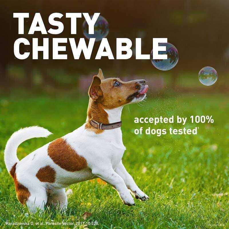 Chewable Tablet for Dogs 25.1-50 lbs Q103220