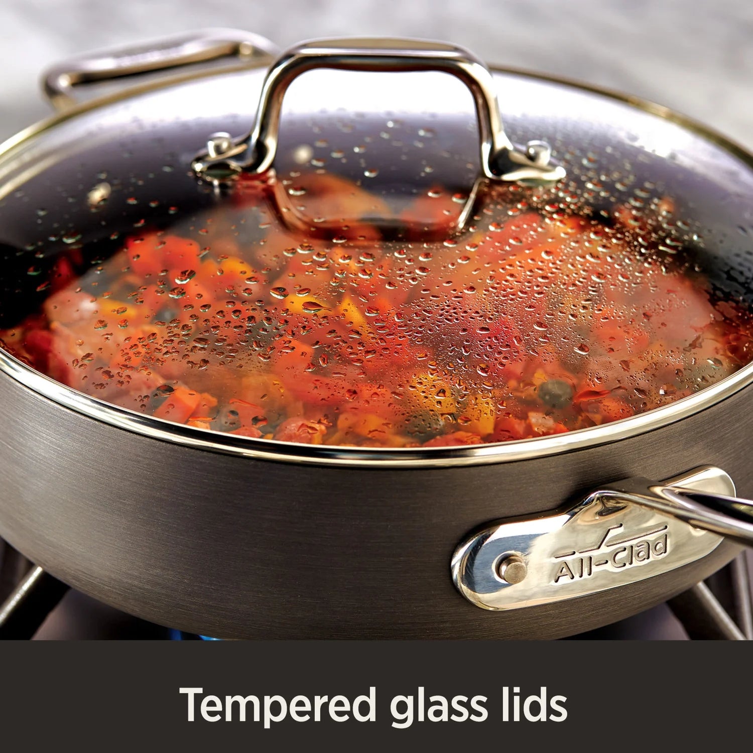 12-Inch Hard Anodized Nonstick Fry Pan with lid E521
