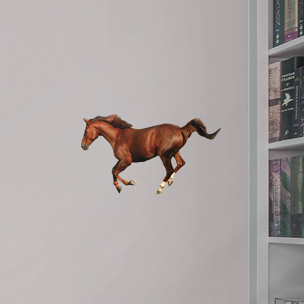 X-Large Removable Wall Decal D223