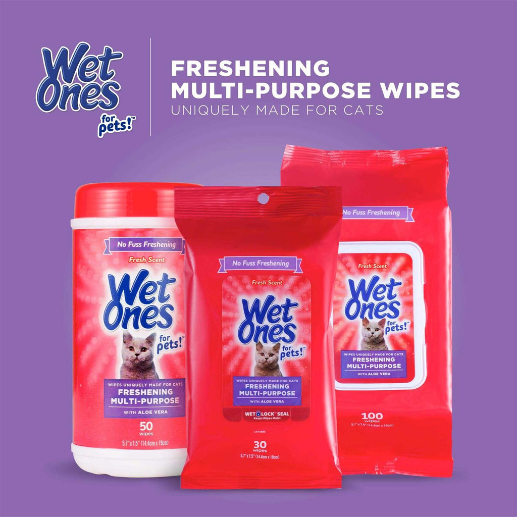 Wet Ones Wipes B615275