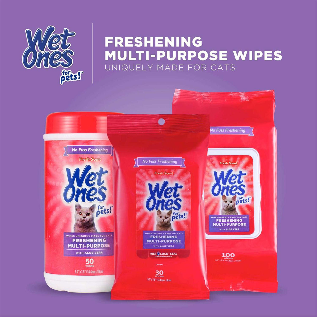 Wet Ones Wipes B615275