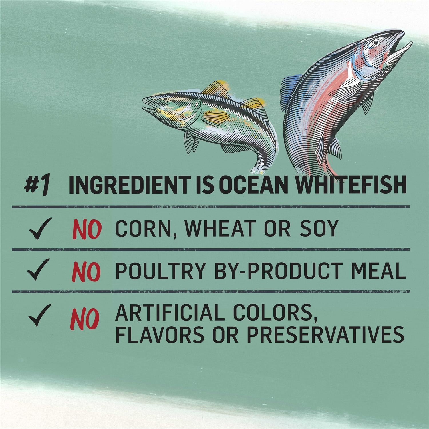 Grain-Free Canned Dog Food Q12914