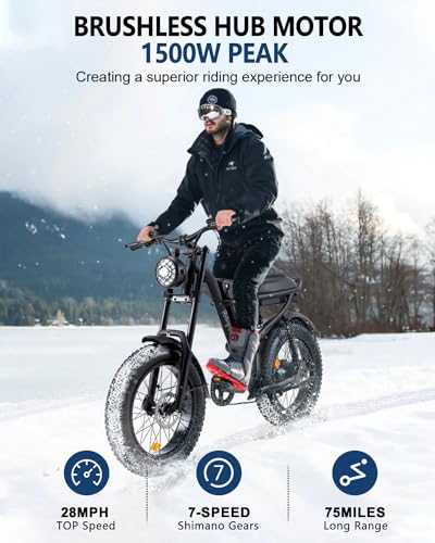 1500W Electric Bike with Full Suspension, 20" Fat Tire, 31.2AH Battery H5515