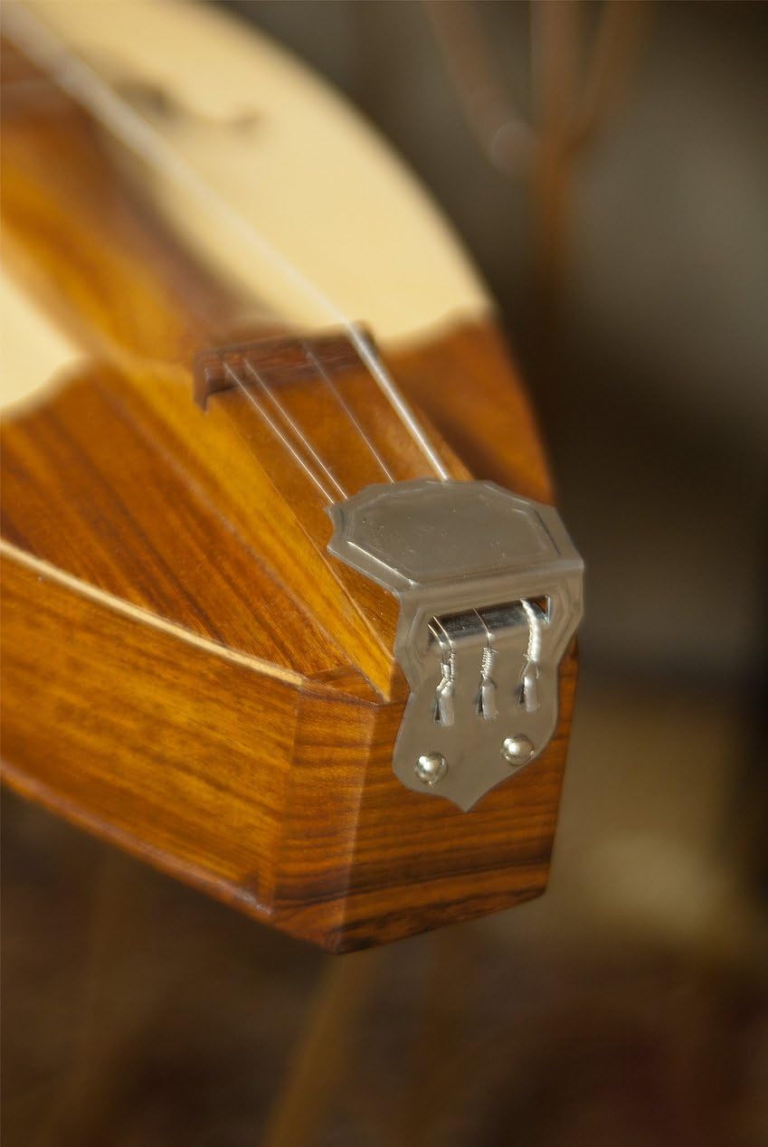 Spruce 4-String Dulcimer Y866