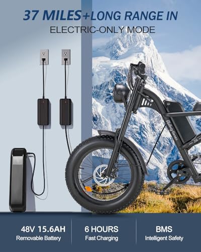 1500W Electric Bike with Full Suspension, 20" Fat Tire, 31.2AH Battery H5515