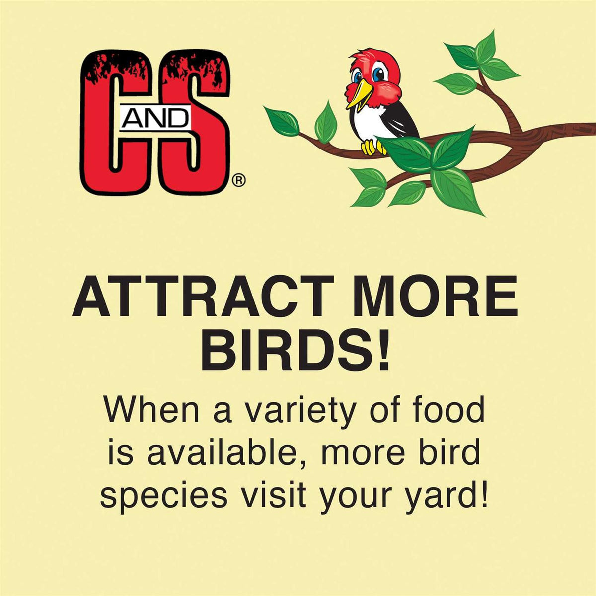 No Melt Suet Dough Wild Bird Food Q14558