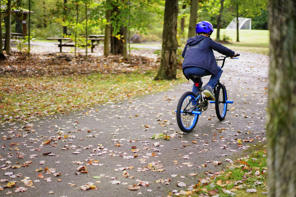 20 in. Matte Black and Blue Boy's Bicycle W270684