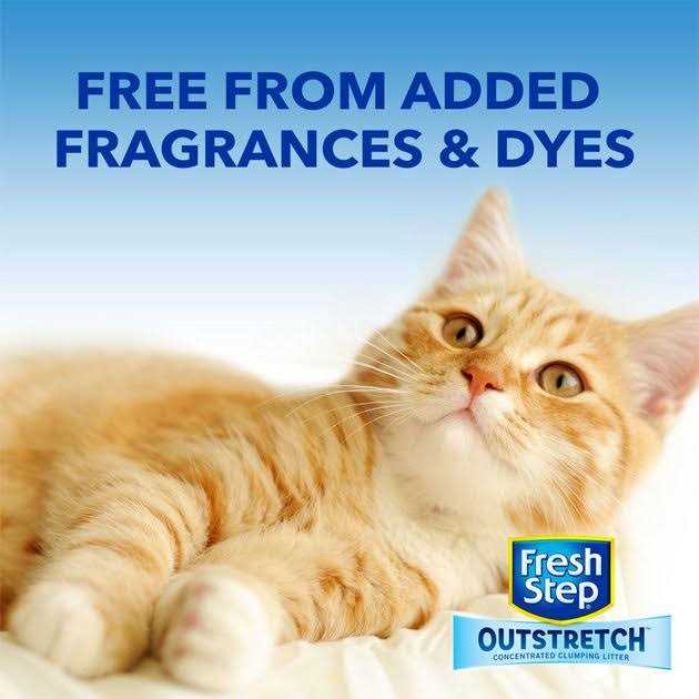 Unscented Clumping Cat Litter I8821