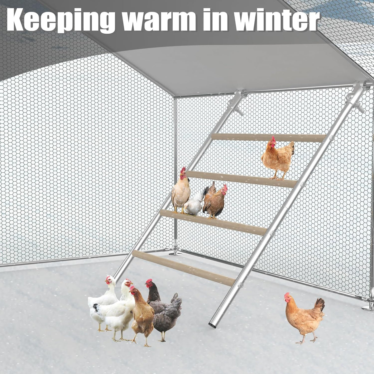 Large Metal Chicken Perch Ladder (55.9''L X 41.7'' W) L570544