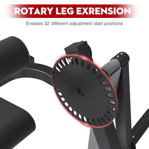 Adjustable Leg Extension and Curl Machine Y507