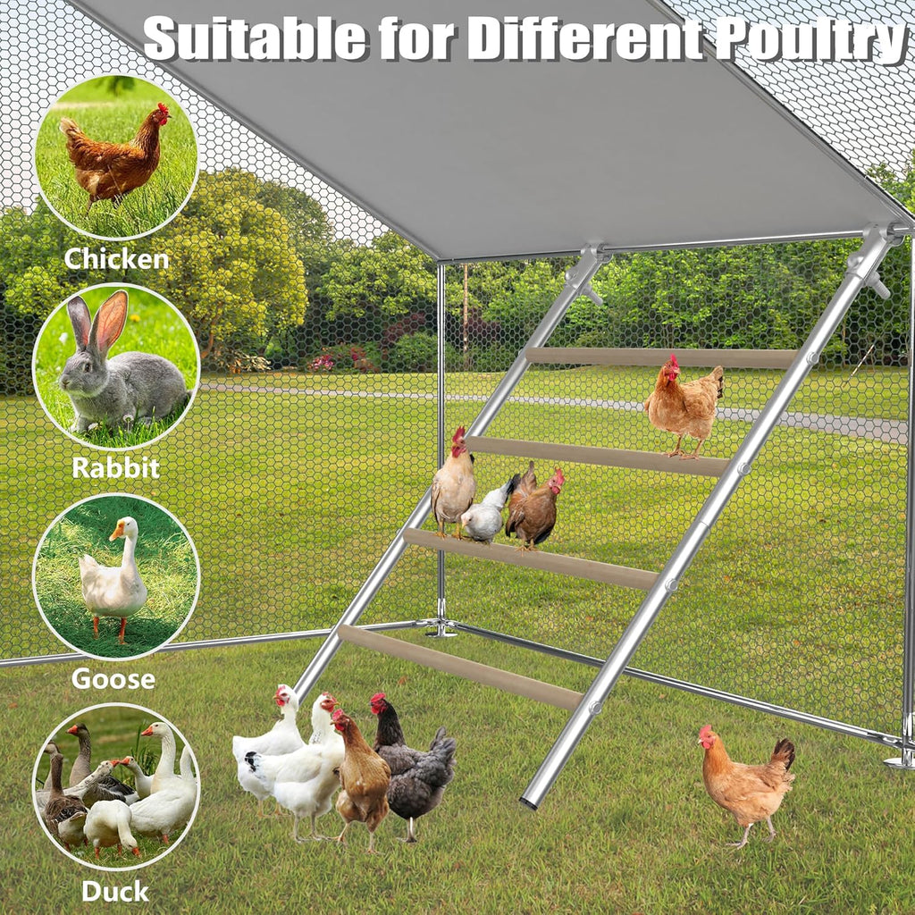 Large Metal Chicken Perch Ladder (55.9''L X 41.7'' W) L570544