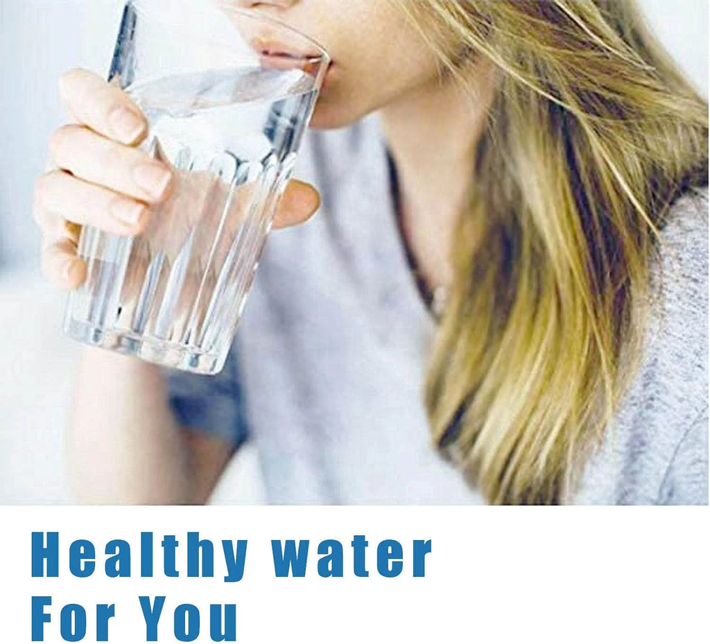 2 Pcs Refrigerator Water Filter E43284