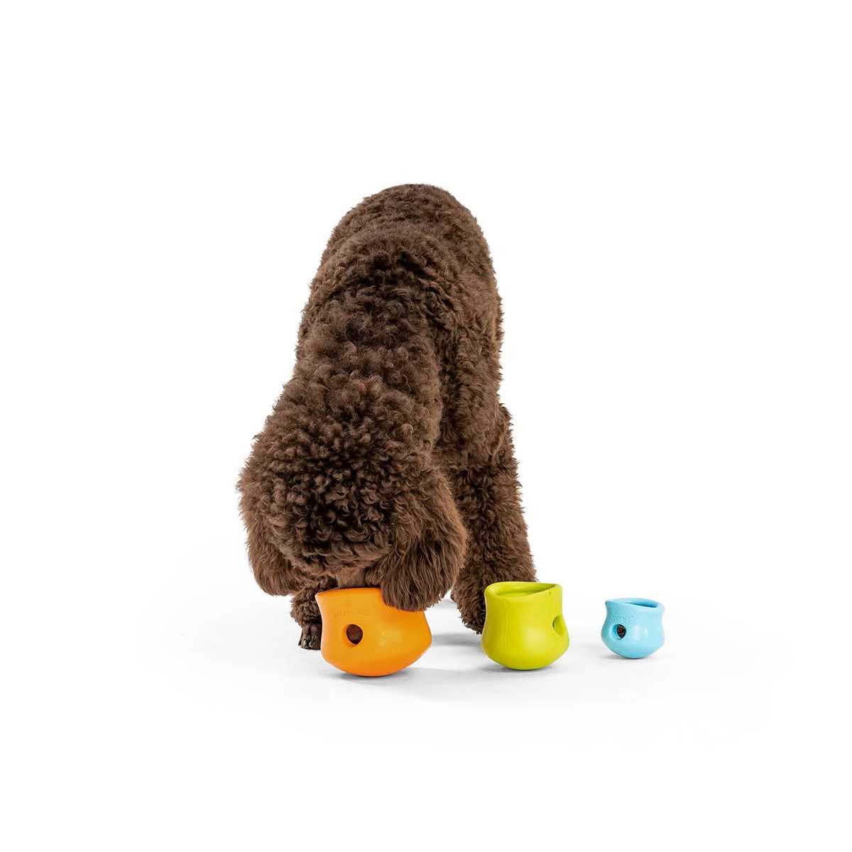 Toppl Dog Toy C912