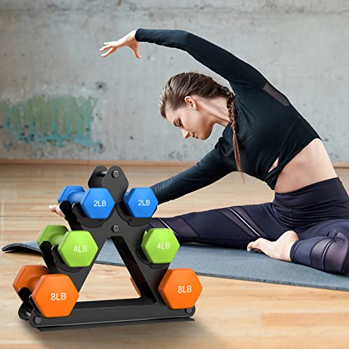 3 Tier Metal Dumbbell Rack B7468